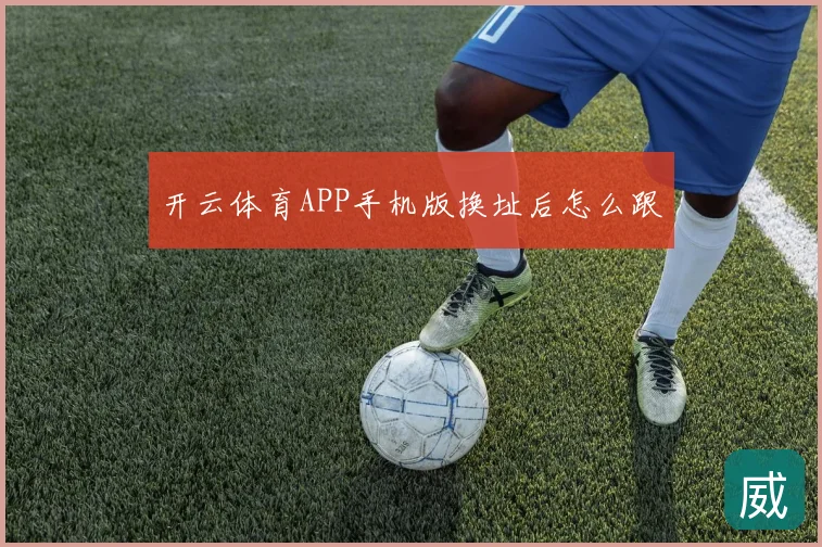 开云体育APP手机版换址后怎么跟